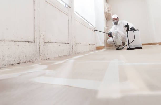 24/7 Emergency Crawl Space Mold Removal experts in Silverdale, WA