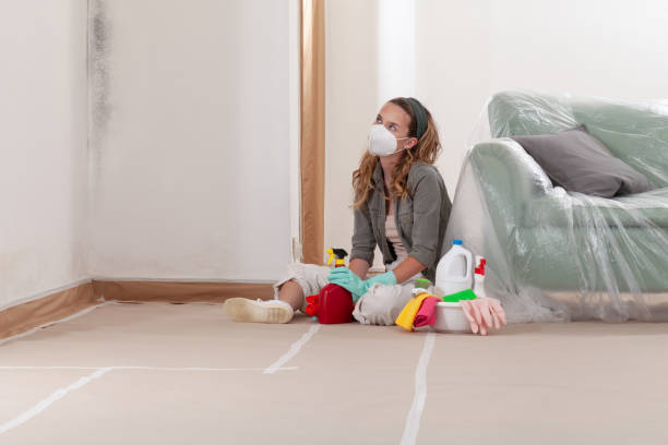 Reliable Crawl Space Mold Removal contractor in Silverdale, WA by WQB Mold Removal